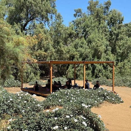 Rancho Dominique Valle de Guadalupe Extérieur photo