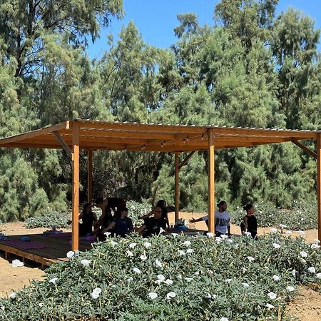 Rancho Dominique Valle de Guadalupe Extérieur photo