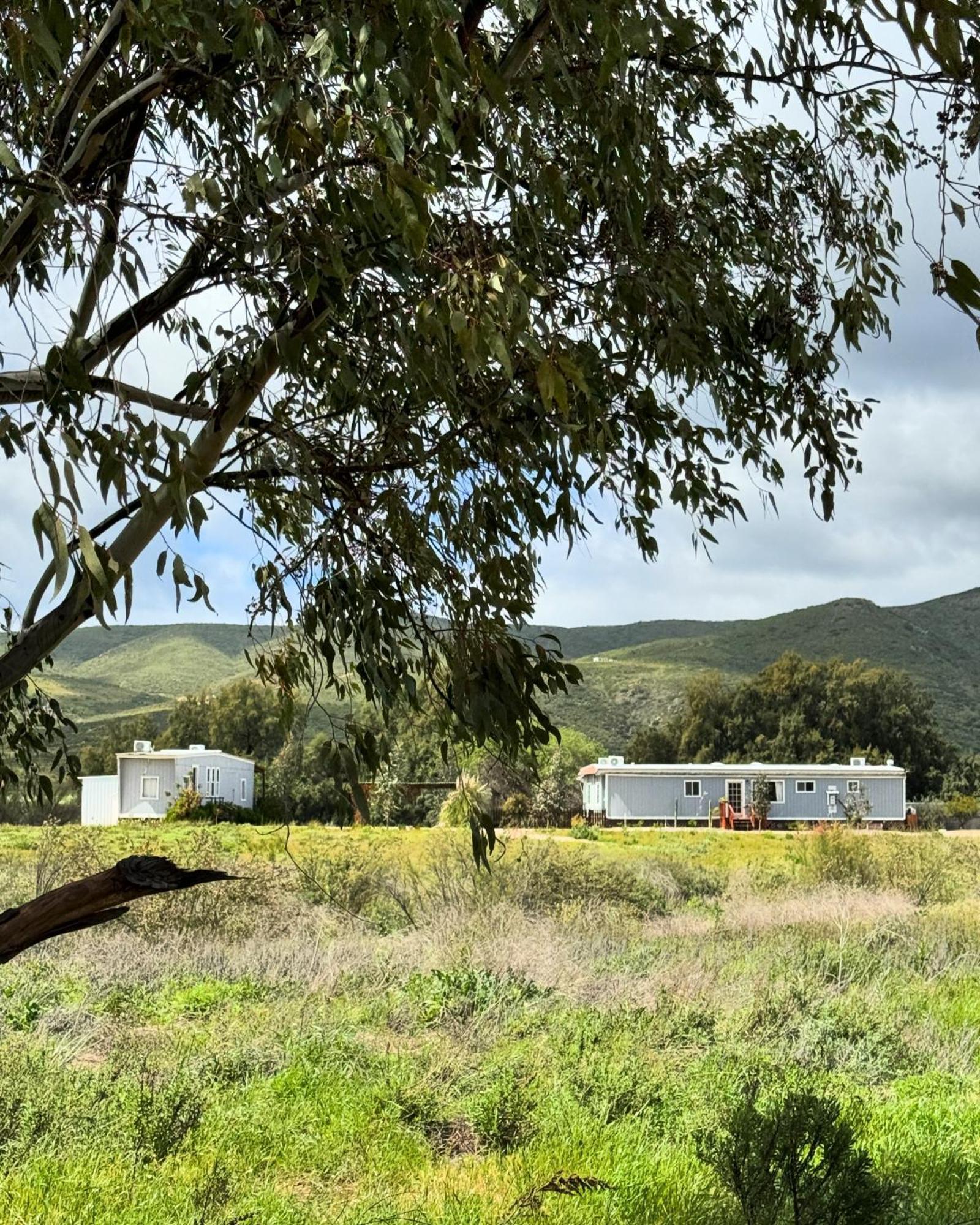 Rancho Dominique Valle de Guadalupe Extérieur photo