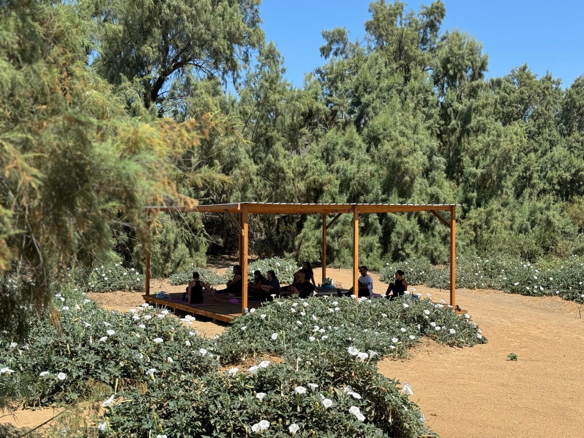 Rancho Dominique Valle de Guadalupe Extérieur photo